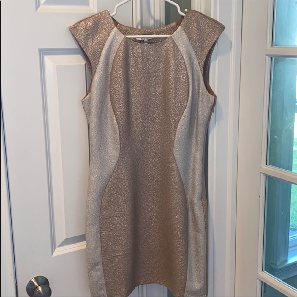 Party/Wedding Guest Dress NWT
